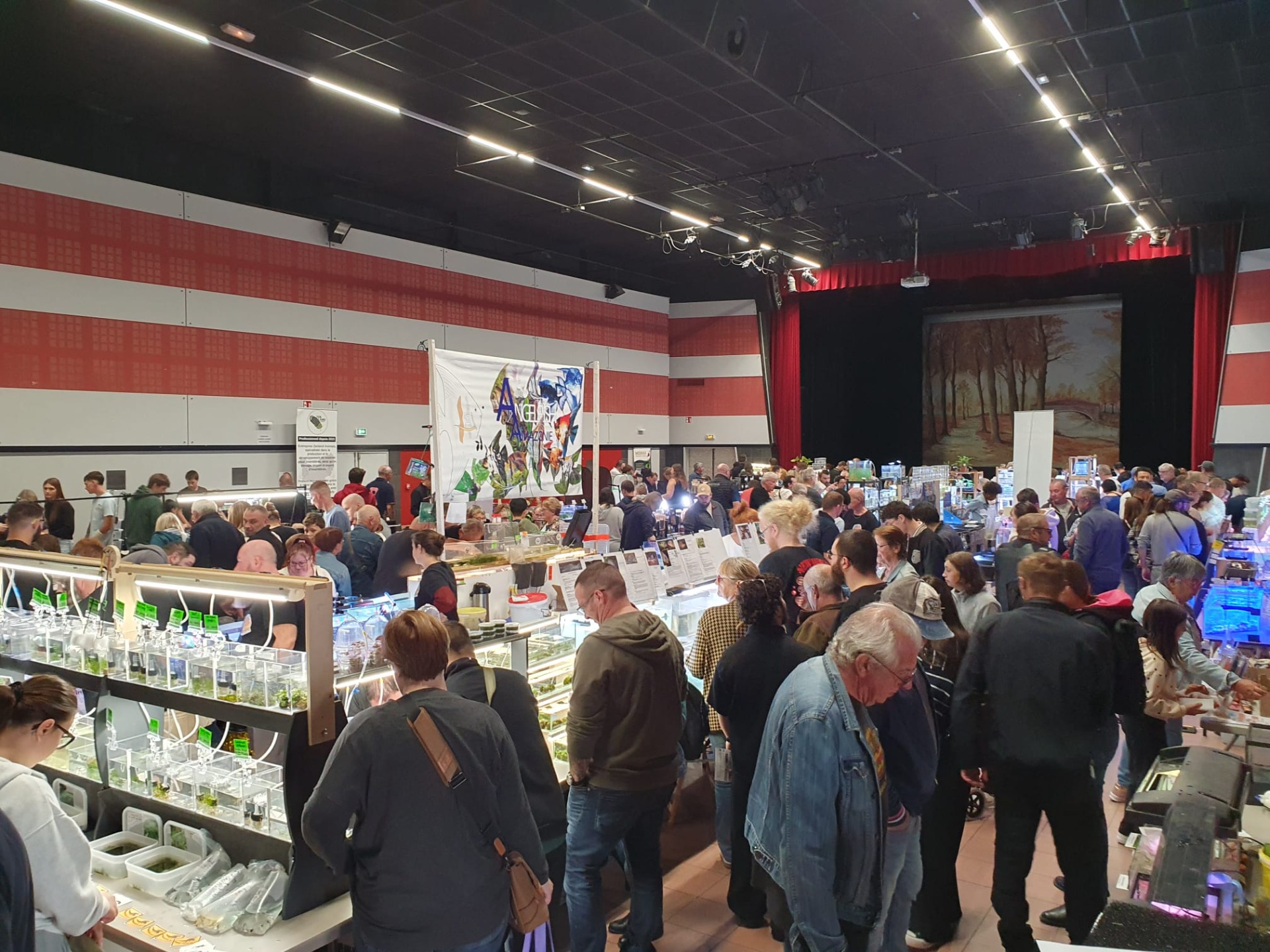 La bourse du 27 septembre dernier à rassemblée plus de 1000 visiteurs !